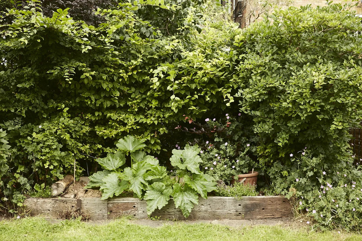broadhurst gardens 13.jpg