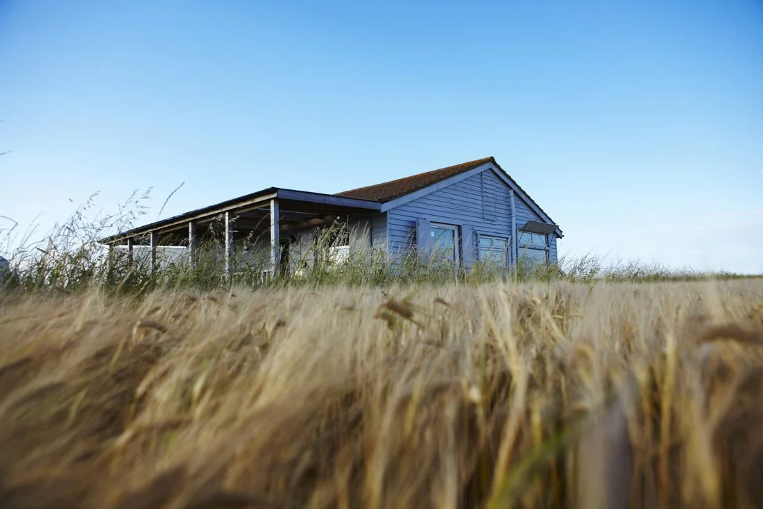 the shack 2.jpg