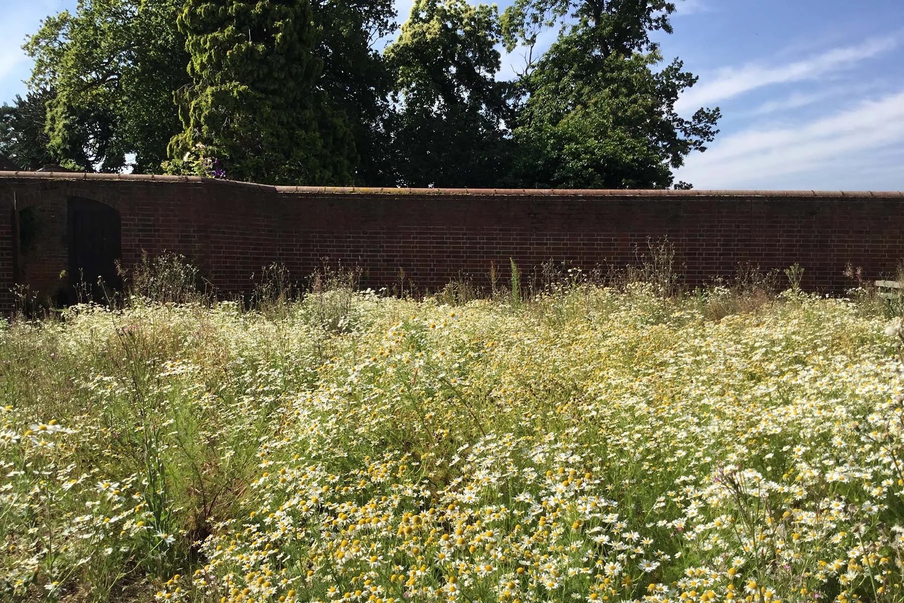sutton hall 37.jpg