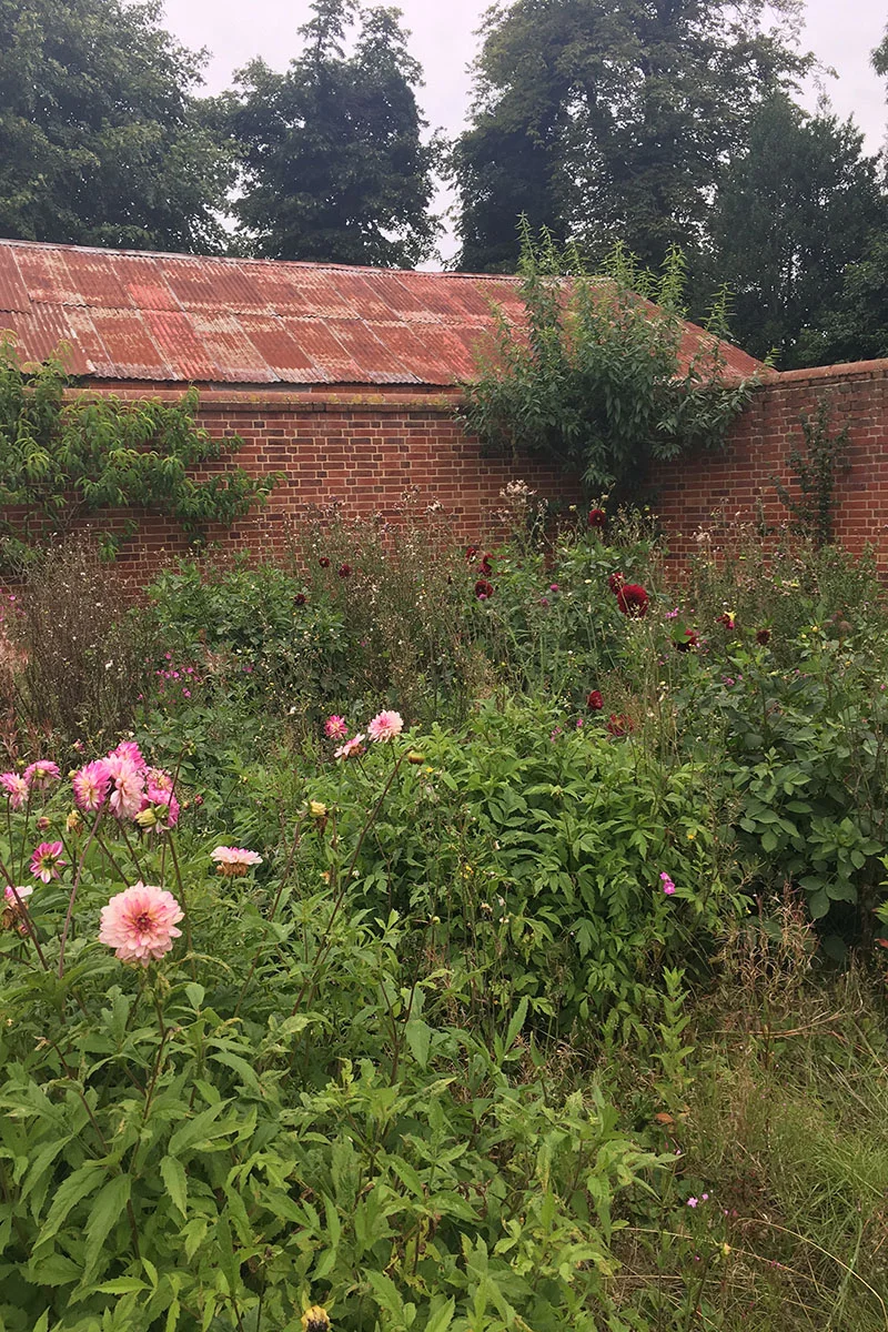 sutton hall 44.jpg