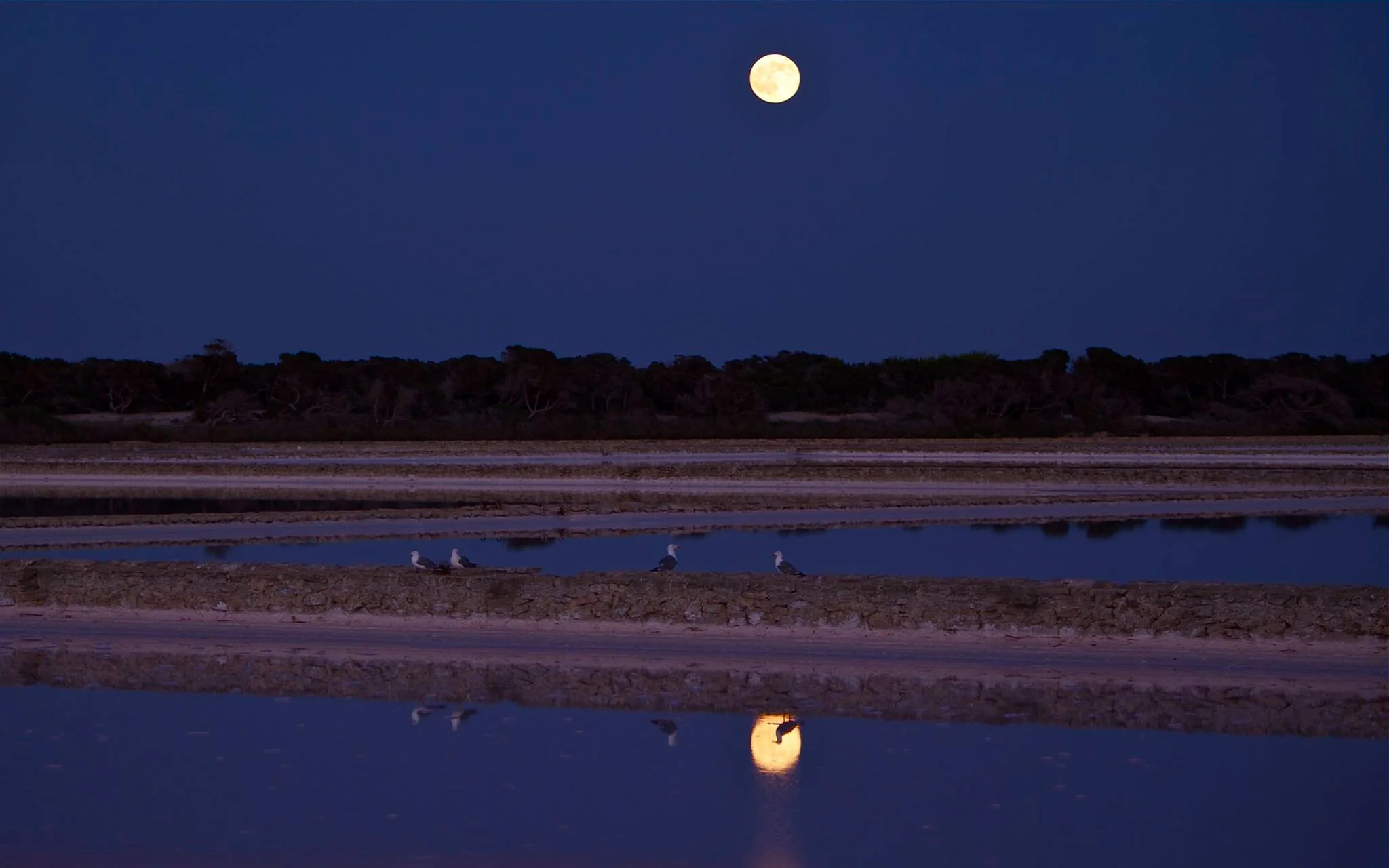 formentera 72.jpg