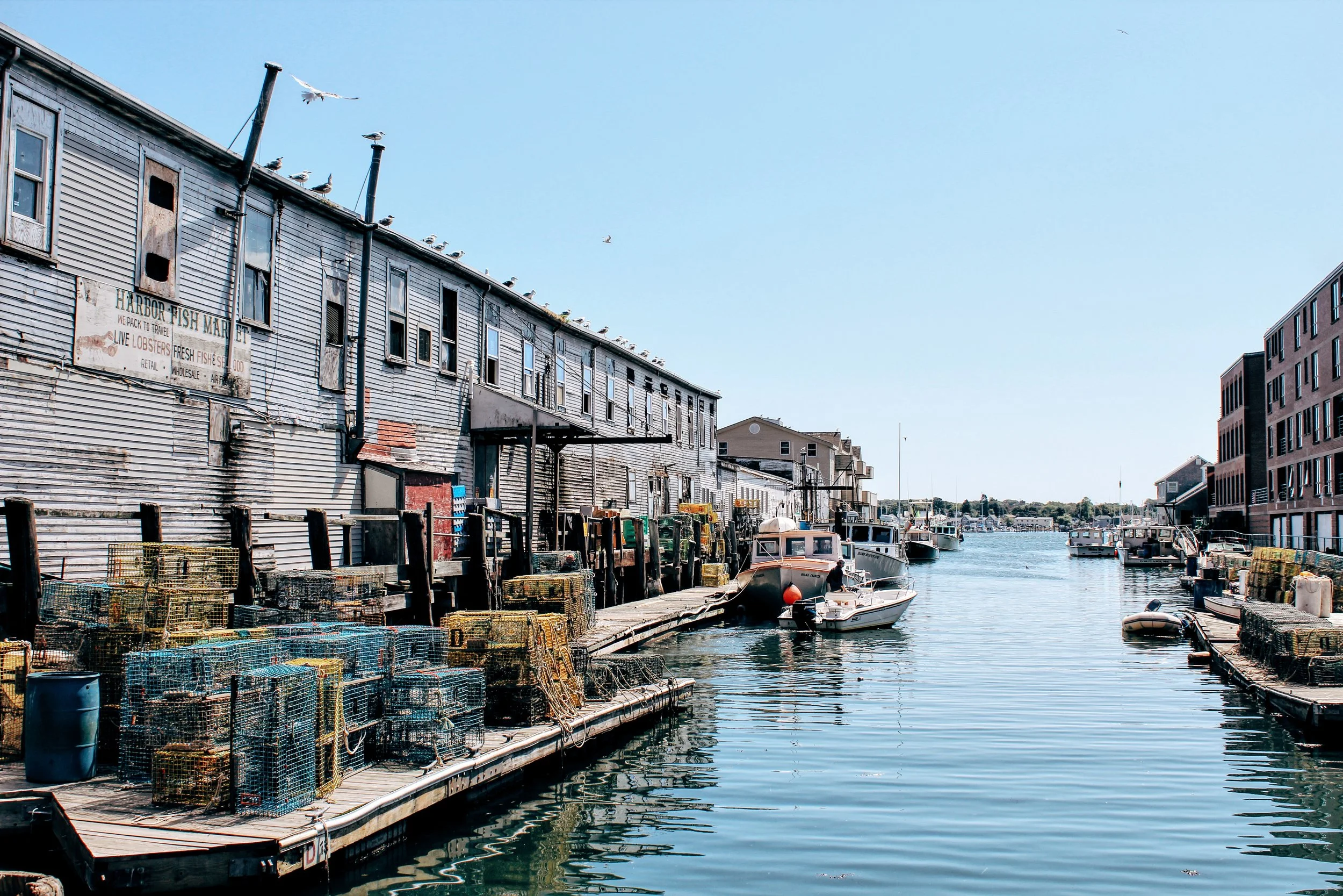 MEAGHAN - Wharf  for website.jpeg