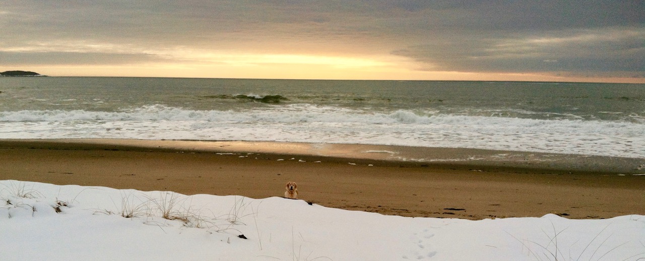 IMG_3482 Chichi RESIZED.jpeg