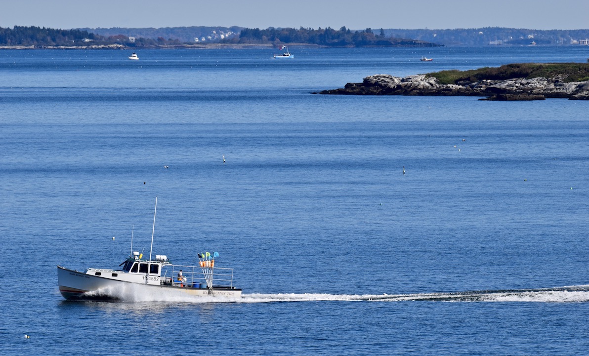 Marc Lausier - screen saver 10152018 RESIZED.jpeg