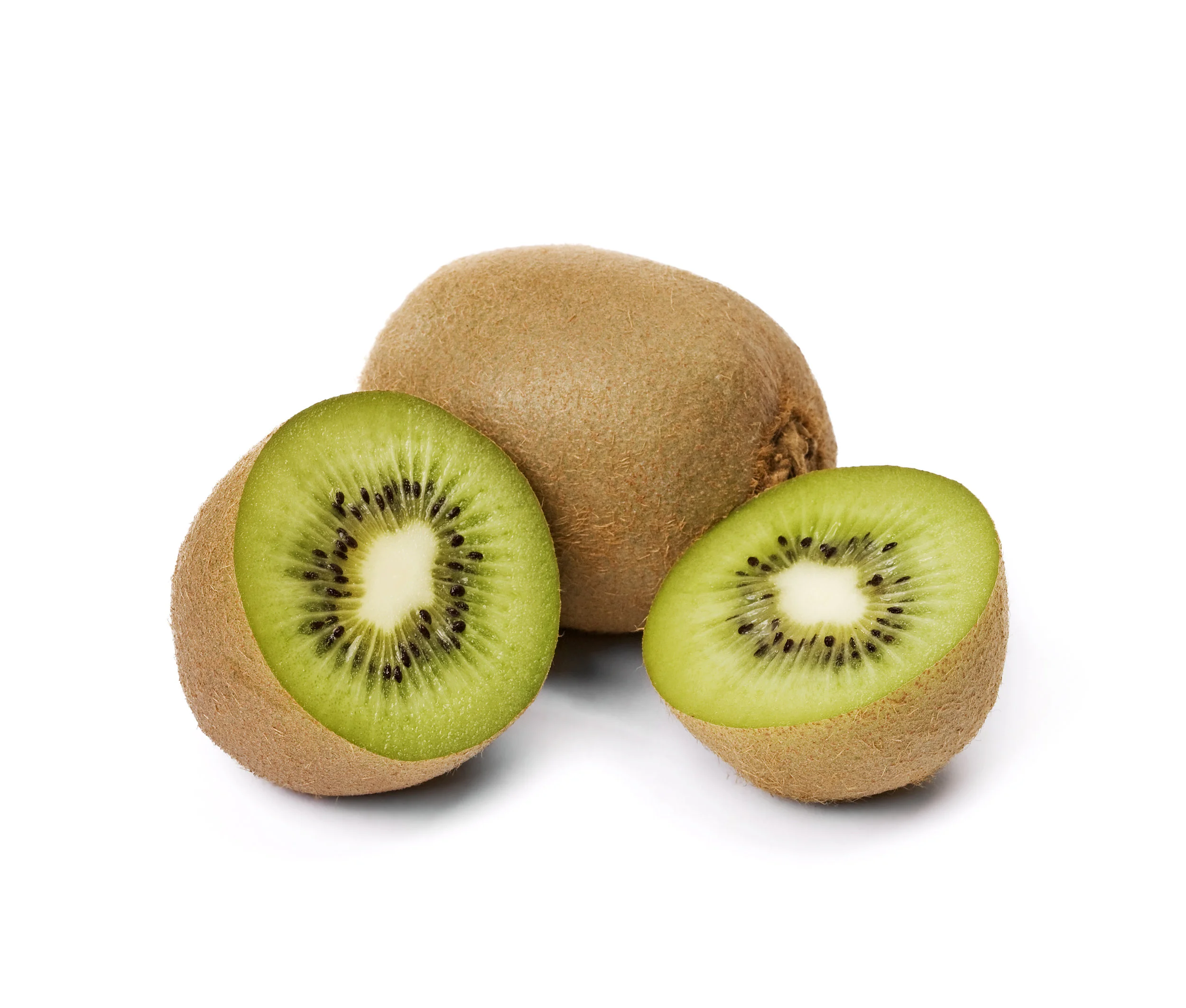 Newsha_kiwi copy.jpg
