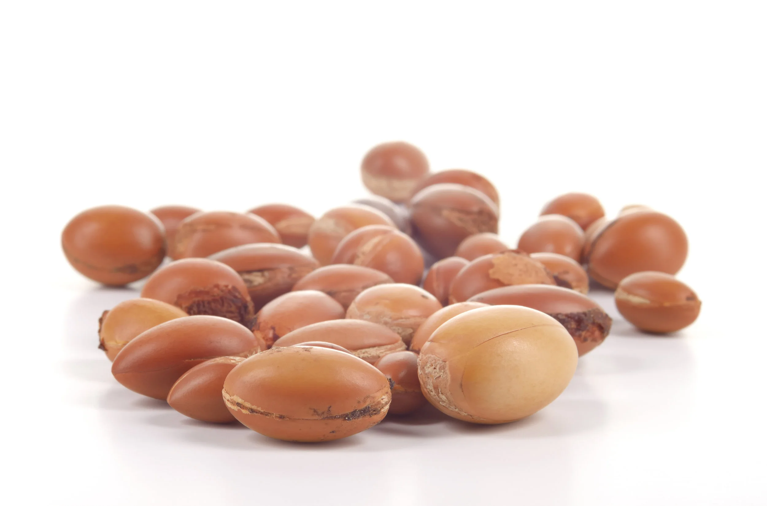 Newsha_argan copy.jpg