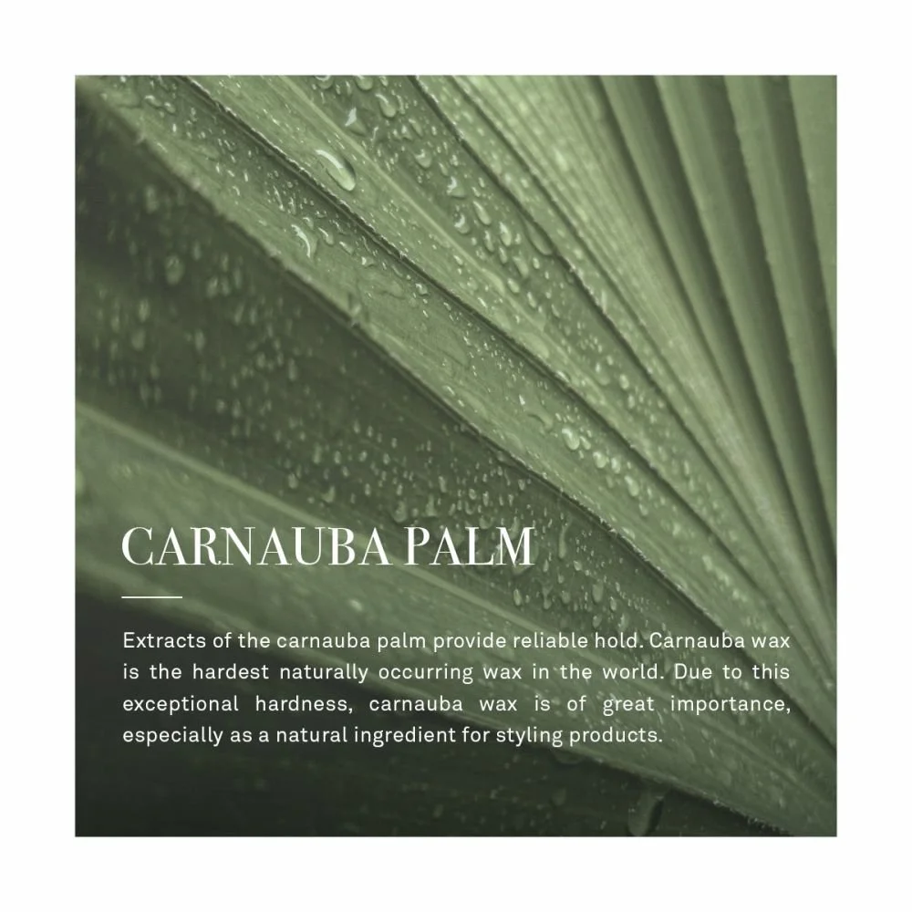 NEWSHA Gentle Structure Wax — NEWSHA Private Haircare