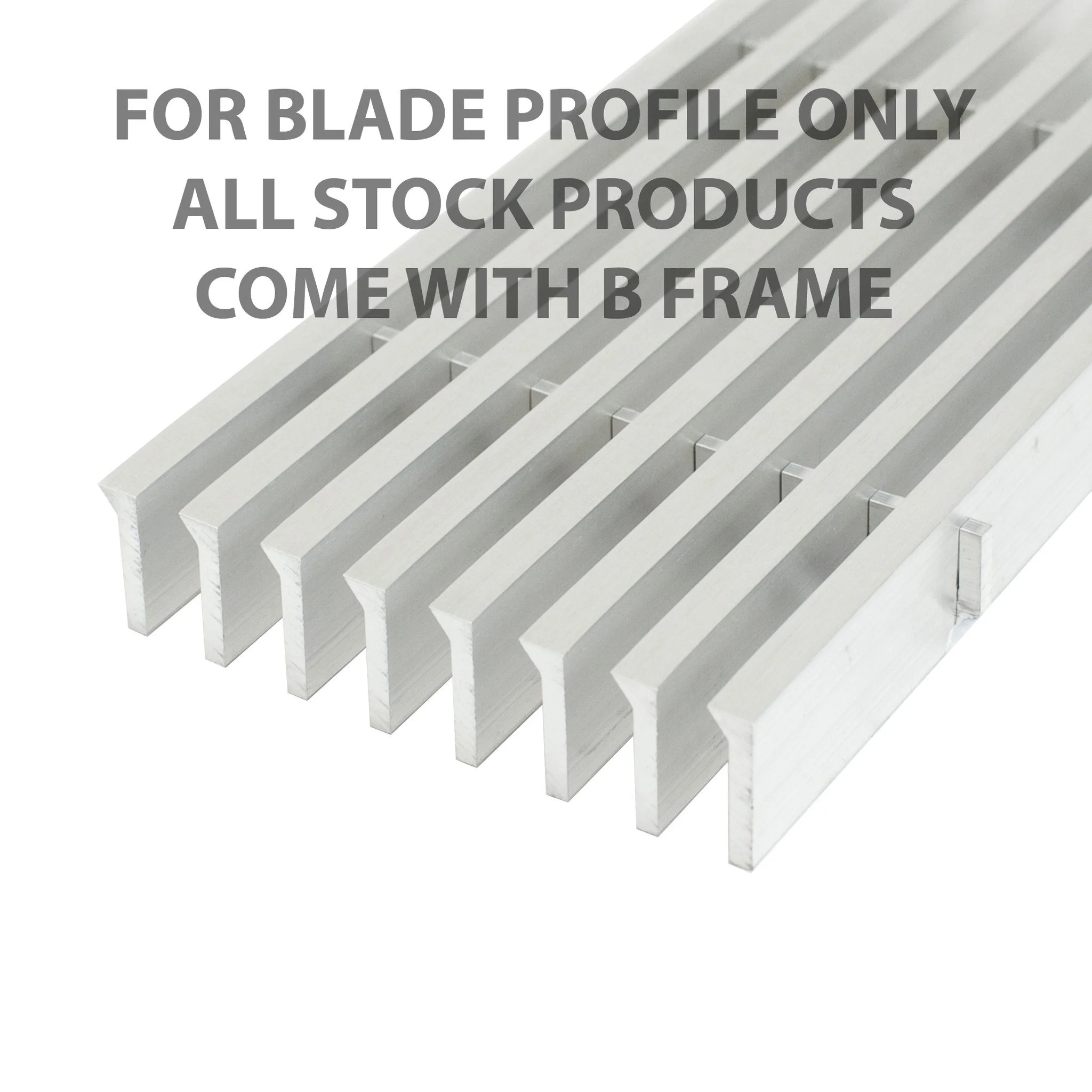 mv20 profile.jpg