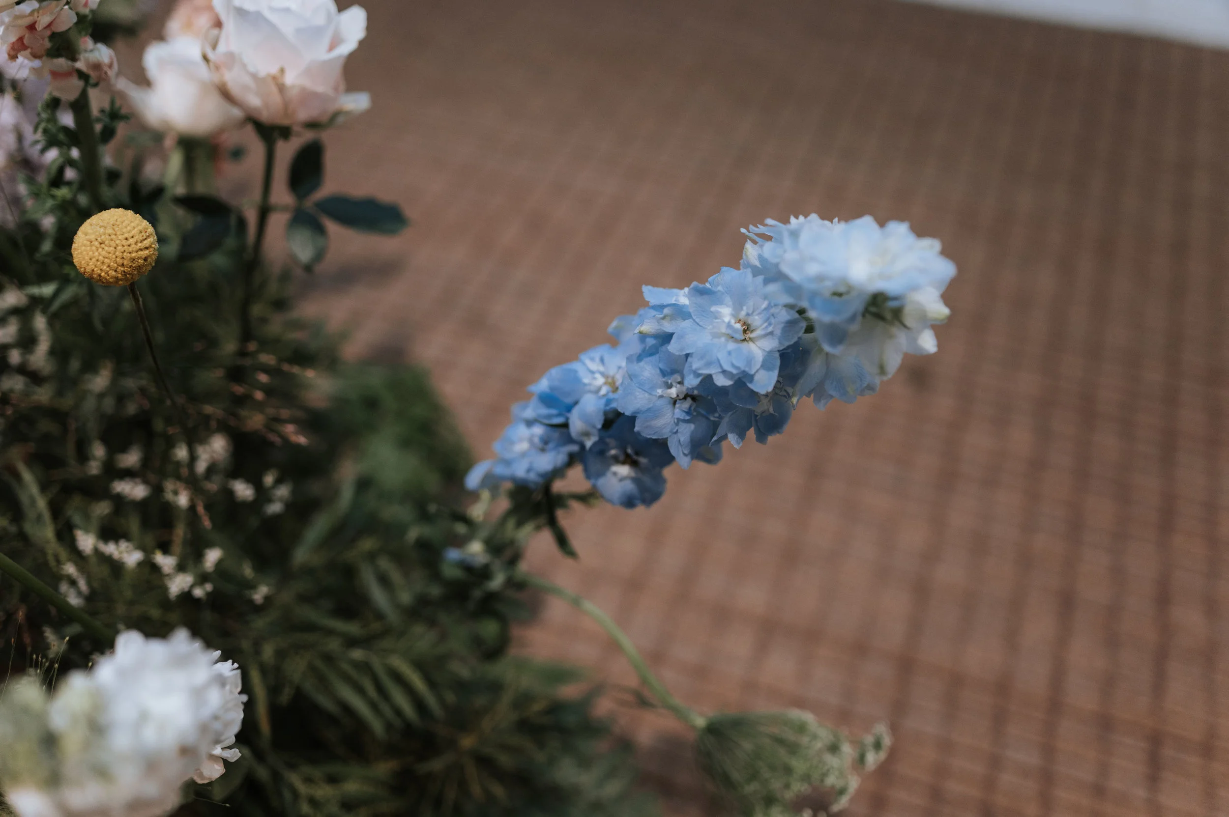 IMG0438.jpg