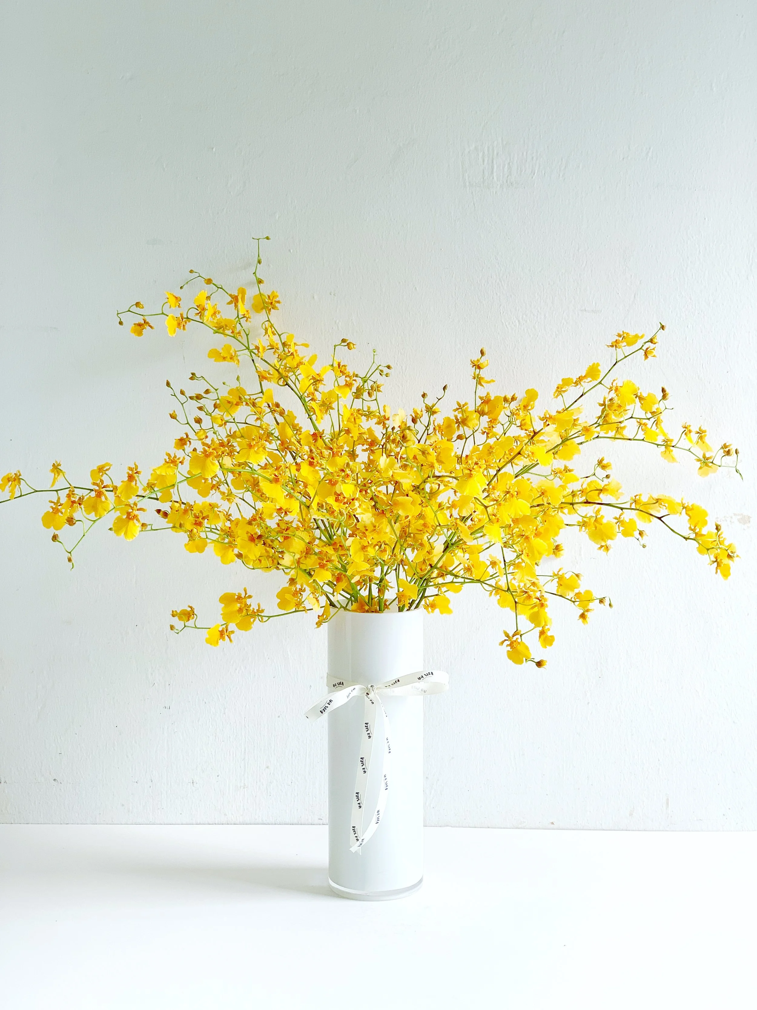 Oncidium Yellow Orchid 財源滾滾