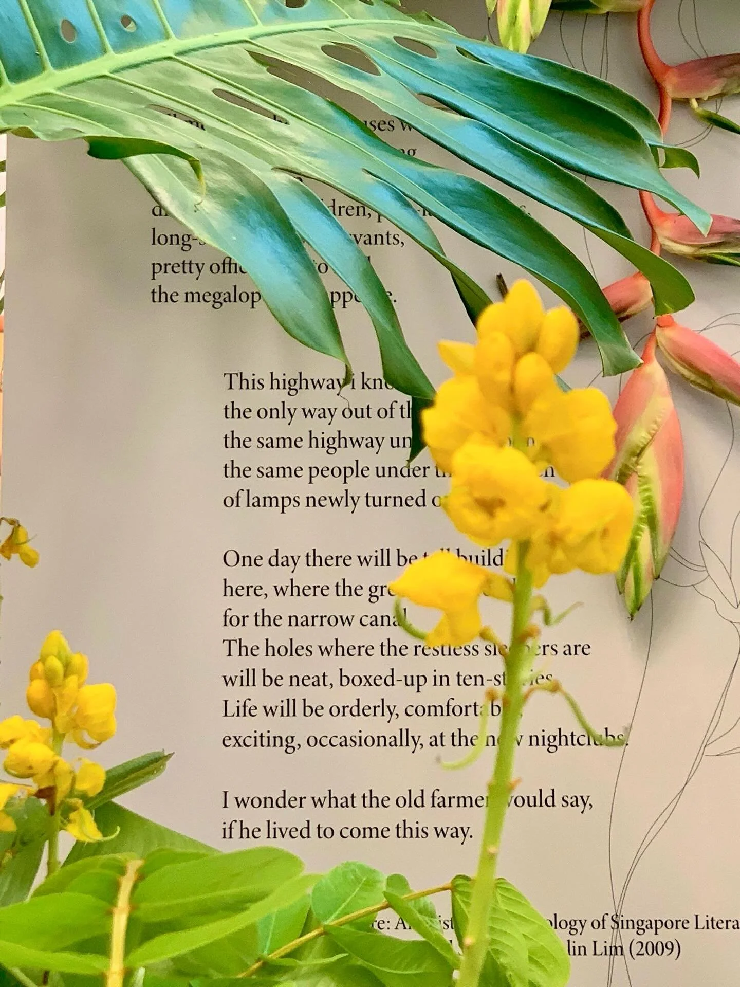 Archive || Singlit 2020

Framing a fragment &mdash; where words take you places, and flowers take you further.