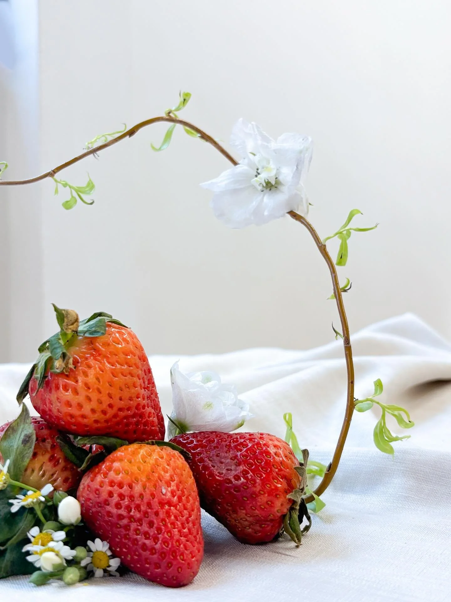 Did someone say strawberries and cream? 🍓💛

A little tart, a little sweet -  a perfect mix ✨