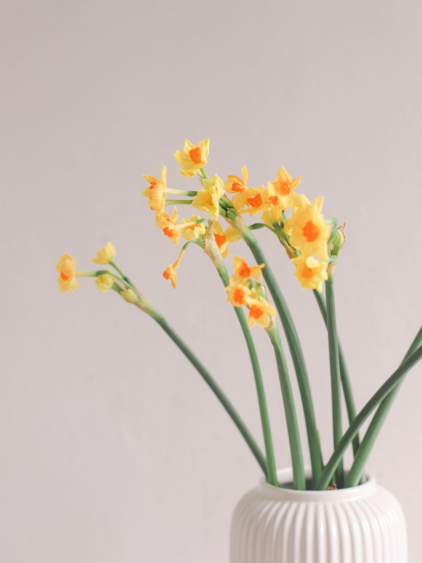 A small moment of sunshine&hellip;💛
Hope it lifts your day a little too xx