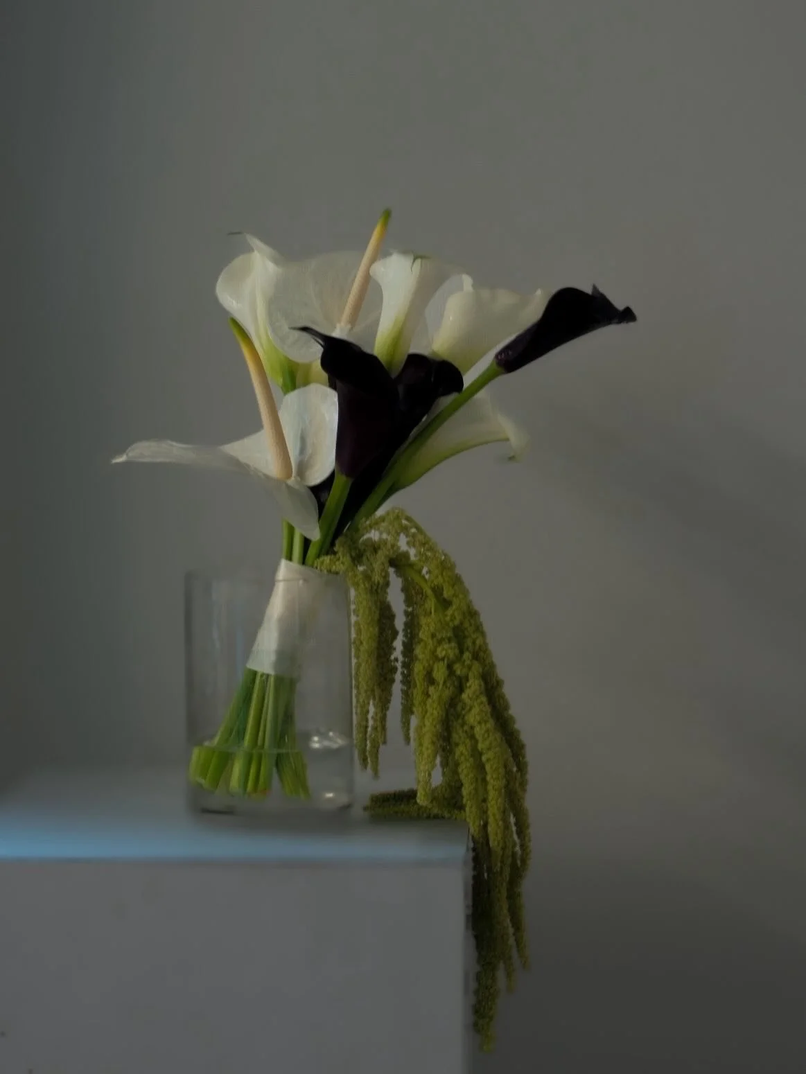 Calla Lily Series - I

ROM Bouquet for @xpeypeyx 🤍

Grace in every line.
A quiet tribute to the strength and beauty of women everywhere.
Happy International Women&rsquo;s Day.