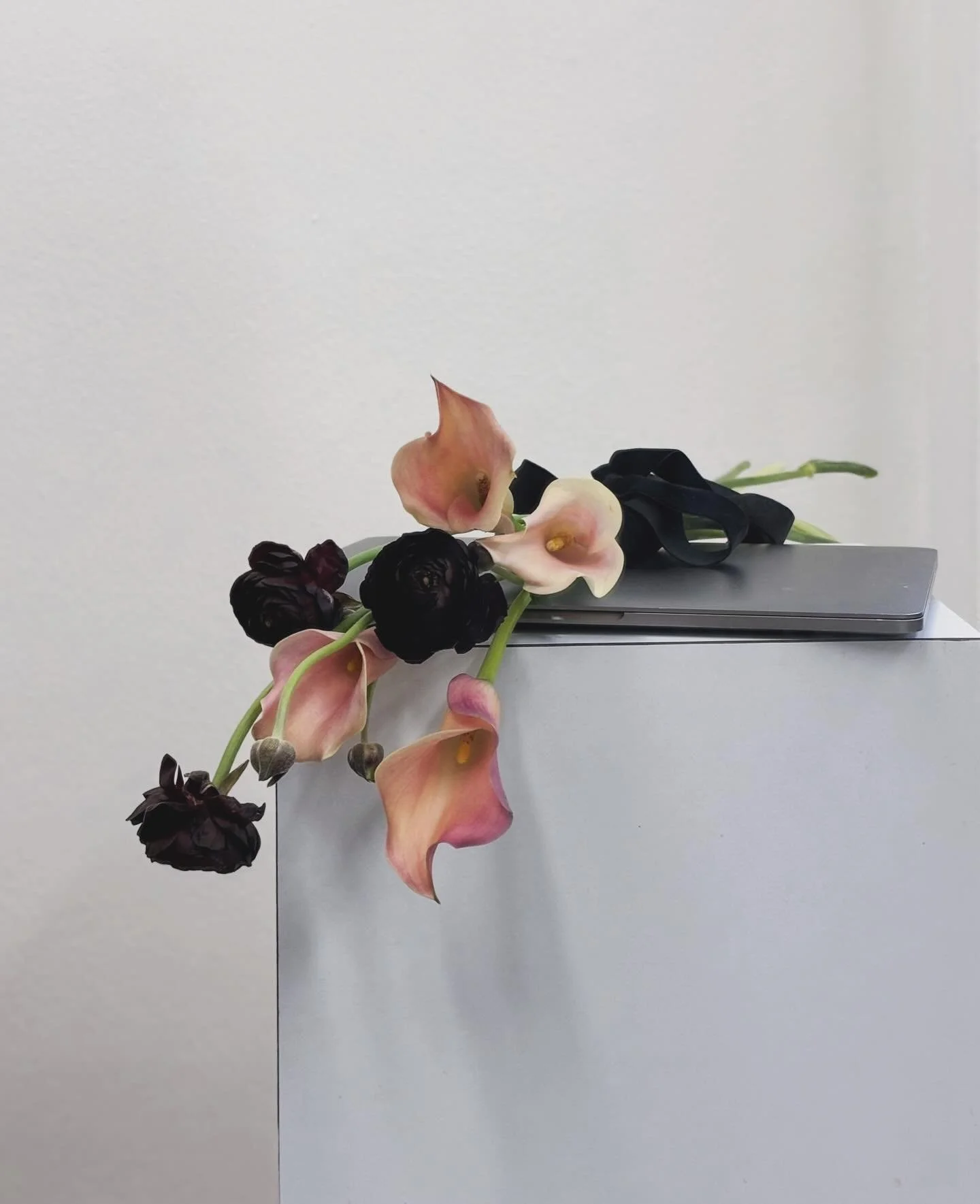 Calla Lily Series - II

My kind of drama - a little blush, a little mystery 🖤