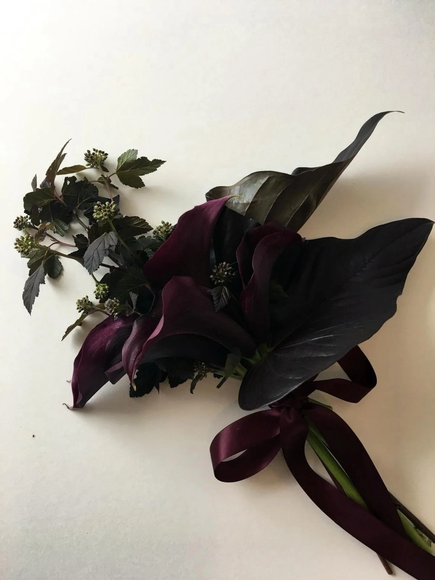 Calla Lily Series - III

Dark, deliberate, and quietly captivating.

For days that call for softer gazes and quieter hues.