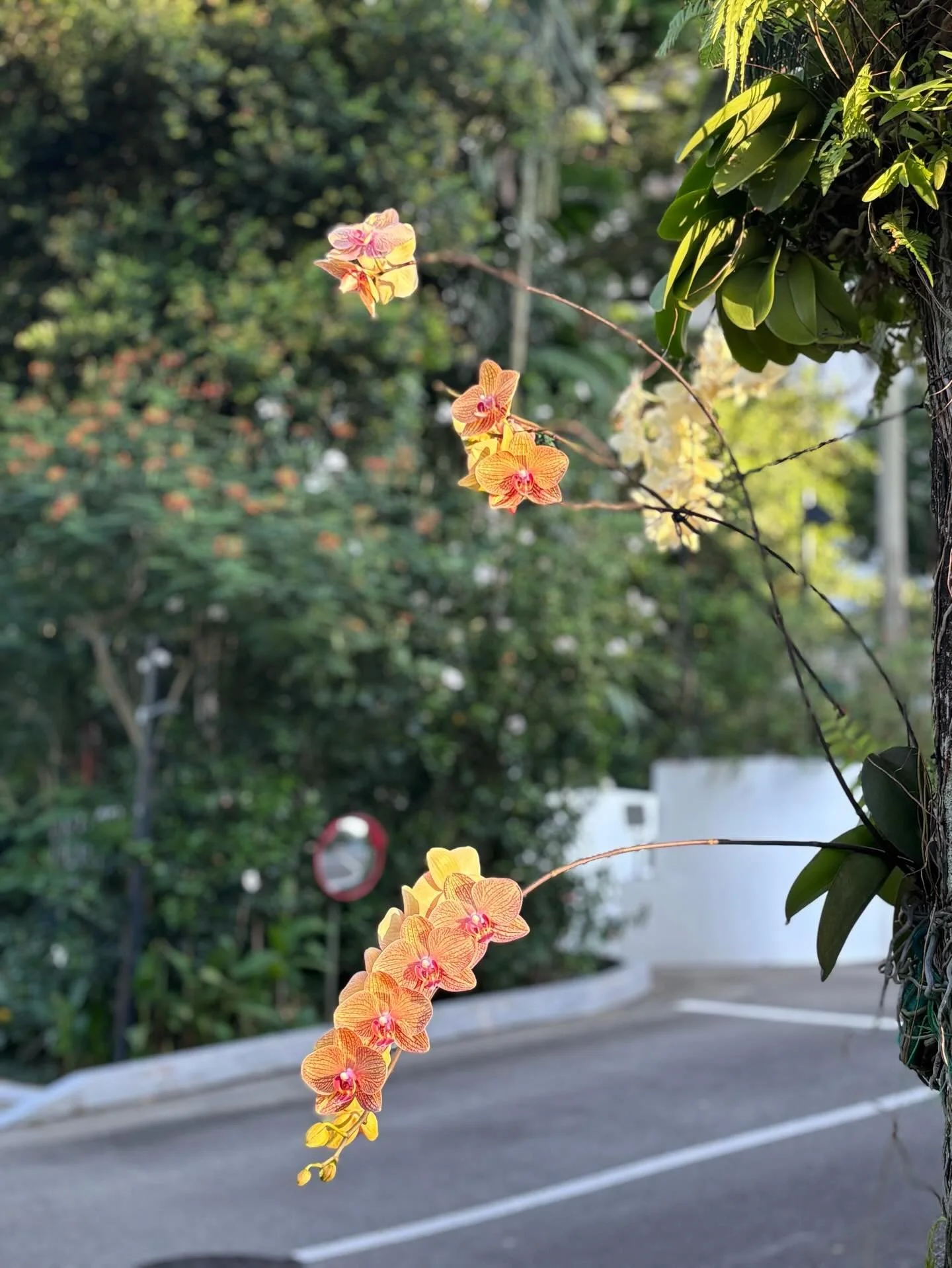 2026 just started&hellip; or so it feels&mdash;
and here we are in April.

Brighter mornings, sudden rain, and little moments that make you stop mid-step.