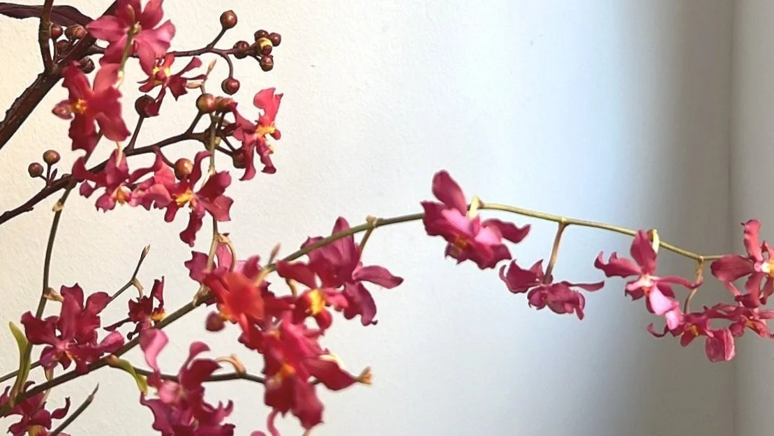 Issue 3: Floral Narratives - Design and Interpretation