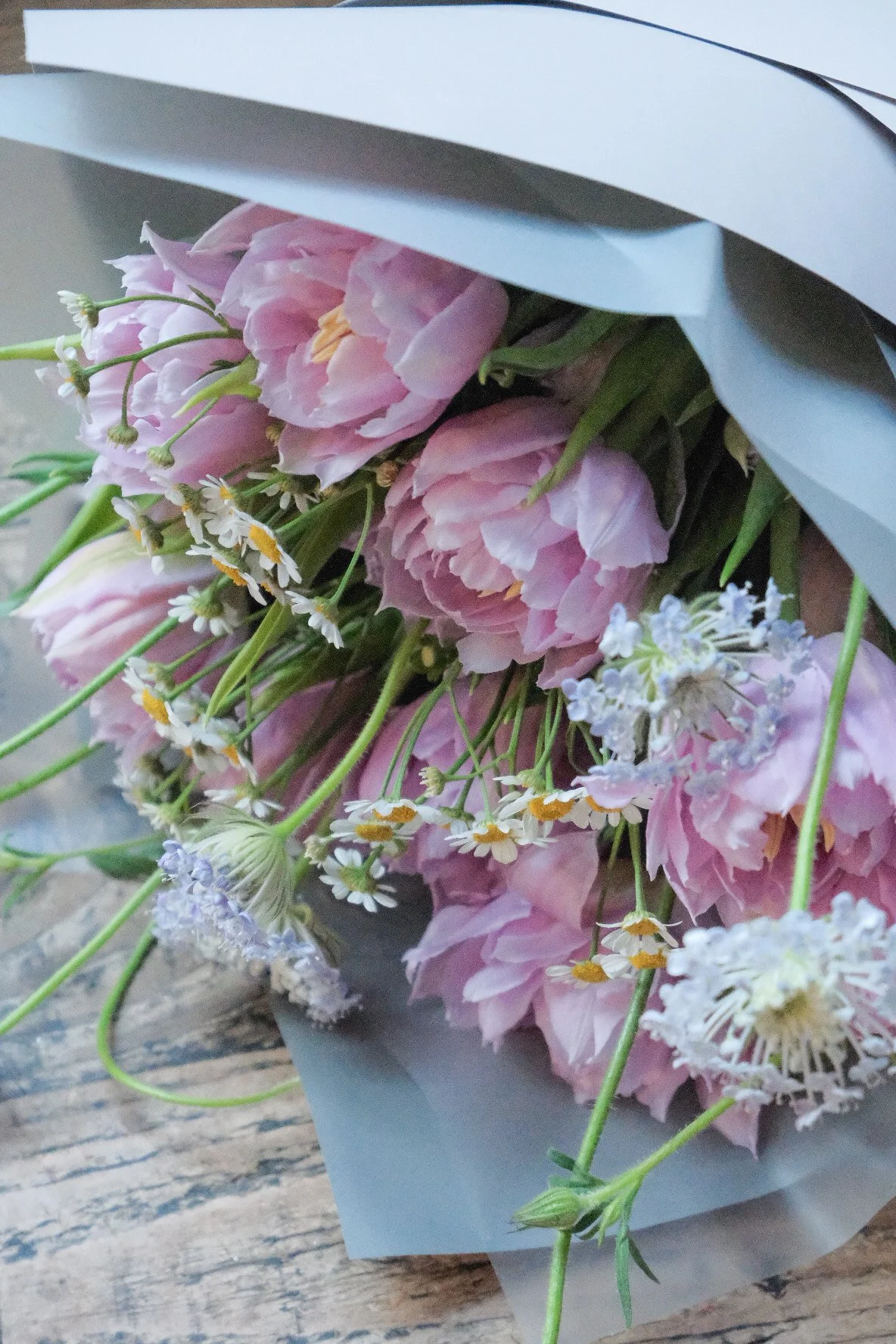 Tulip Mix-1.jpg