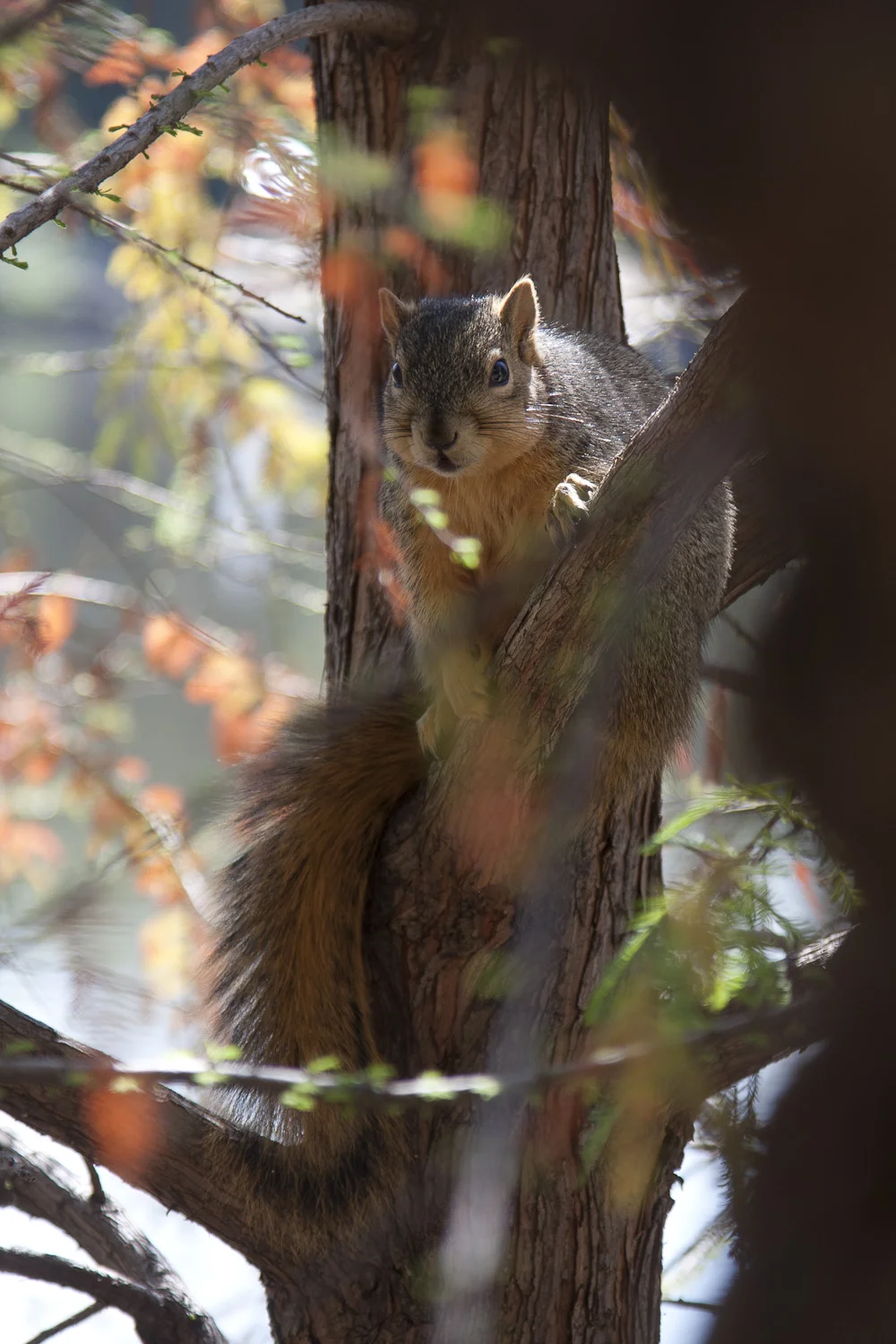 nature-41.jpg