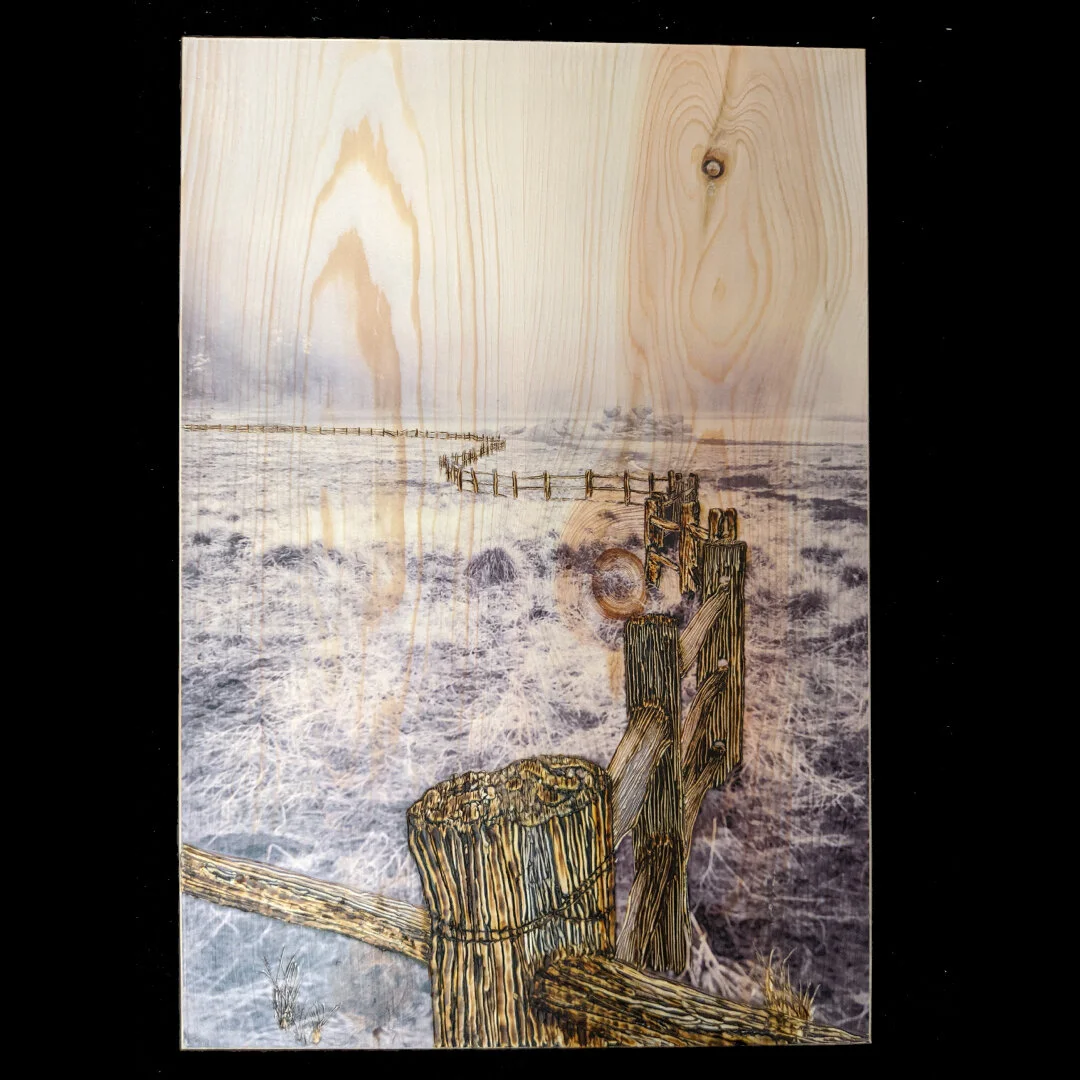 Lost in a Fog-insta.jpg