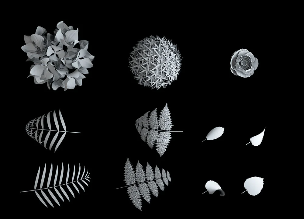 WIREFRAME FLOWERS.jpg
