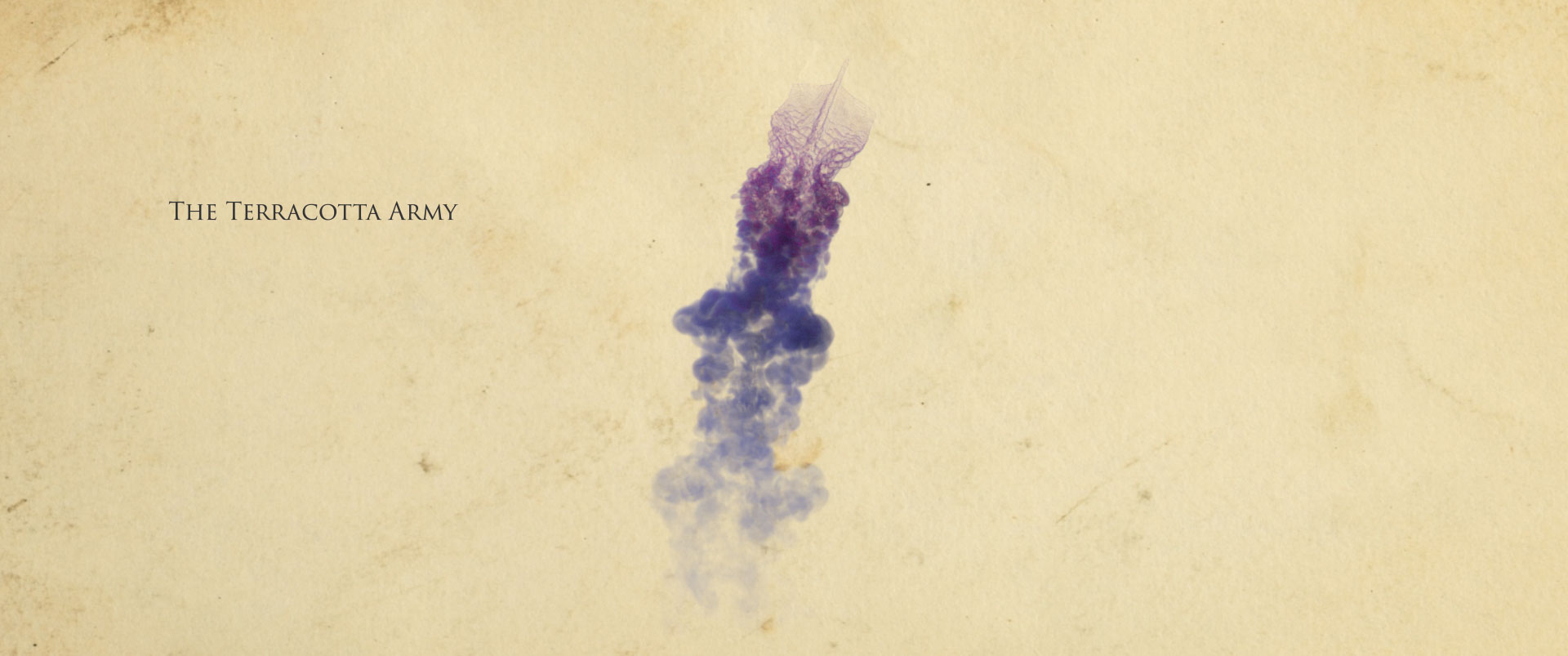 BIRD_ASSET_INK_6.jpg