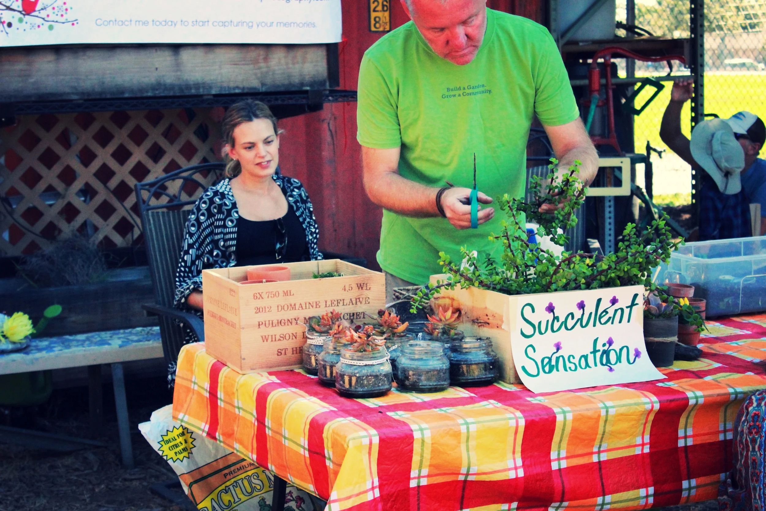 Succulent Planting 