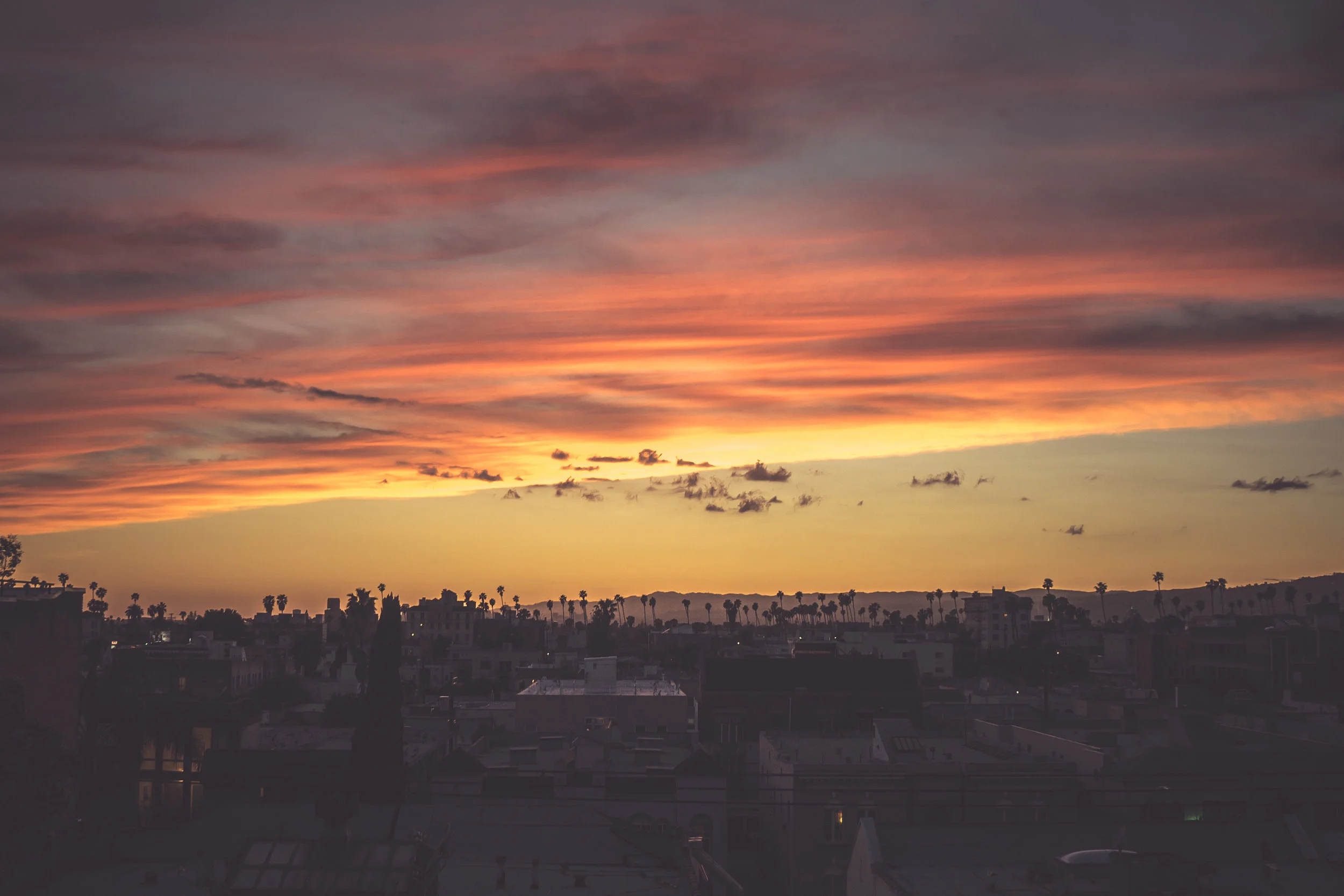 shutterstock_606183017.jpg