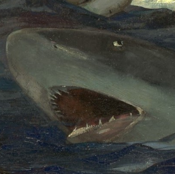 Clue #1 I Spy a Shark W. 89th Street btwn Rayford &amp; Stanmoor