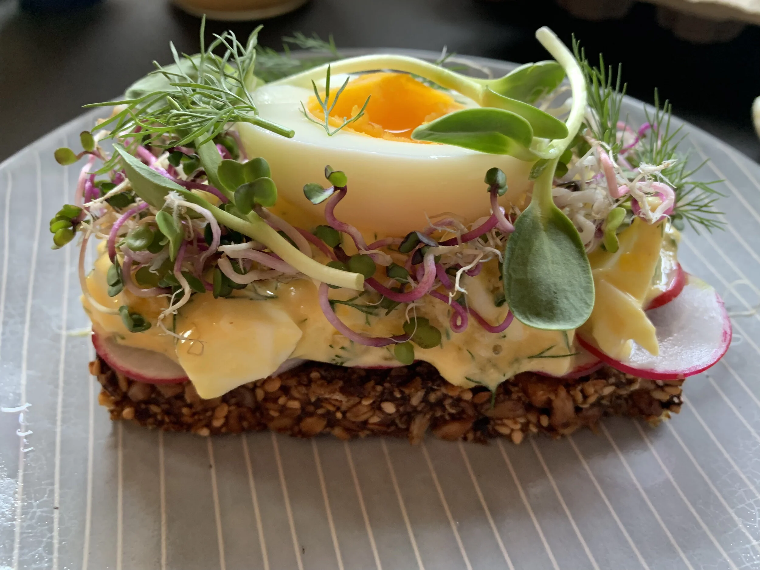 Soft boiled egg on seeded nut toast with mayo, radish, fresh herbs and micro greens