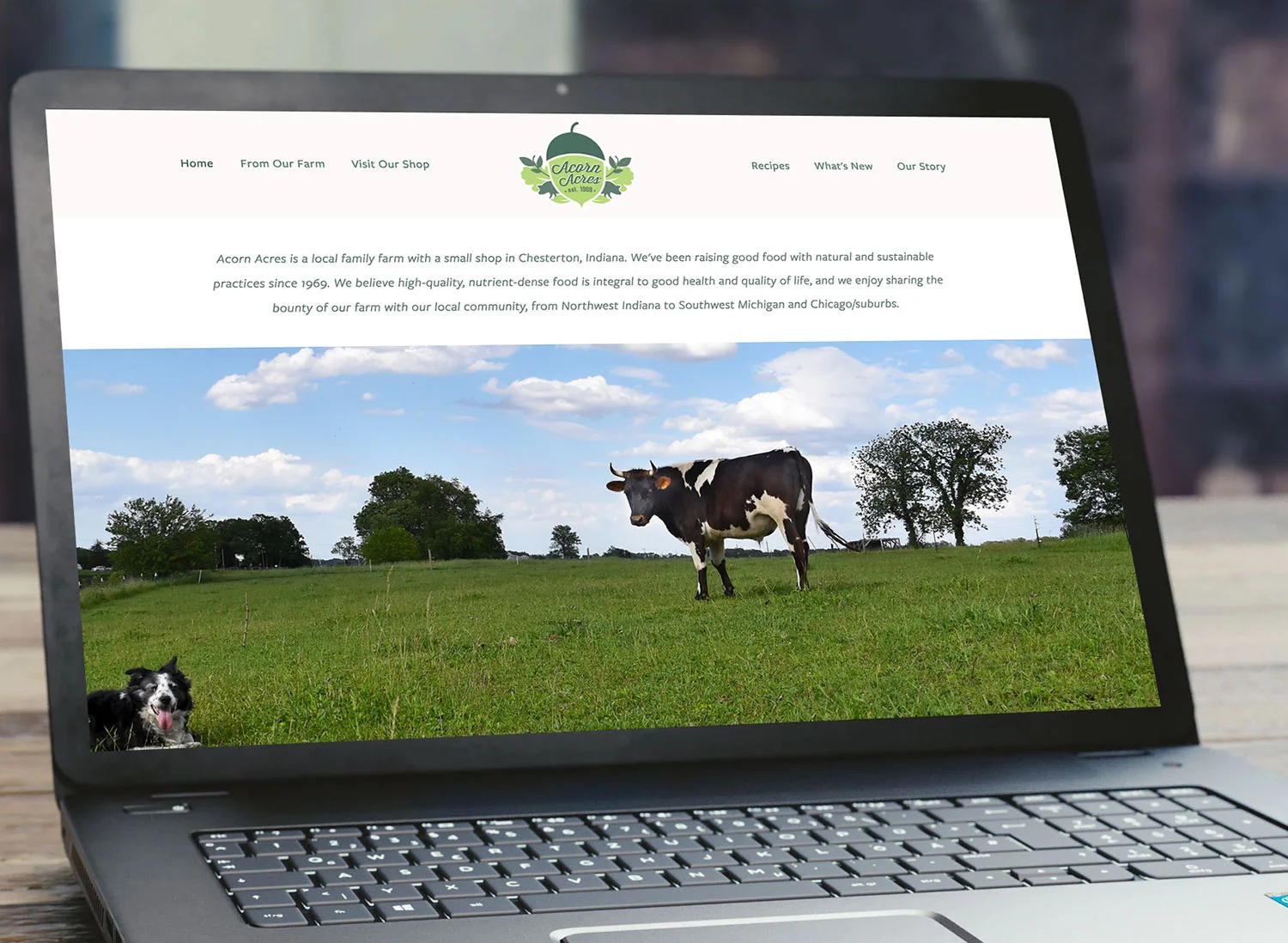 sustainable-farm-websites.jpg