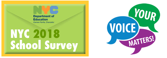 survey181.png