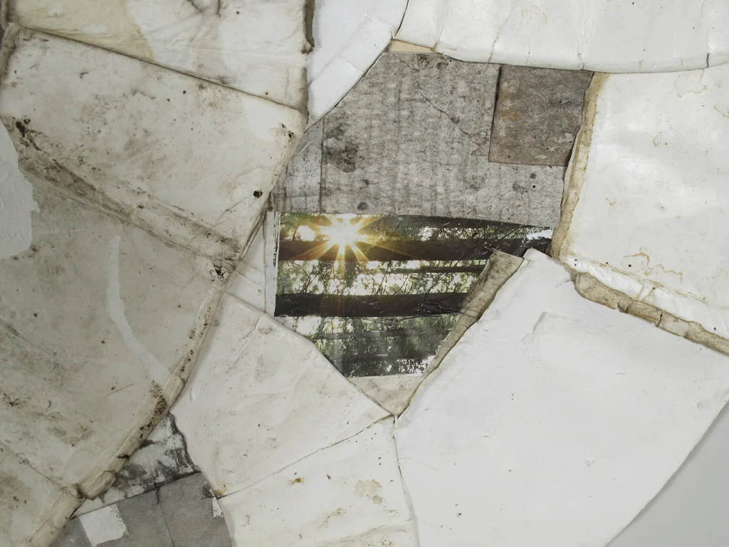 DETAIL Crepuscule