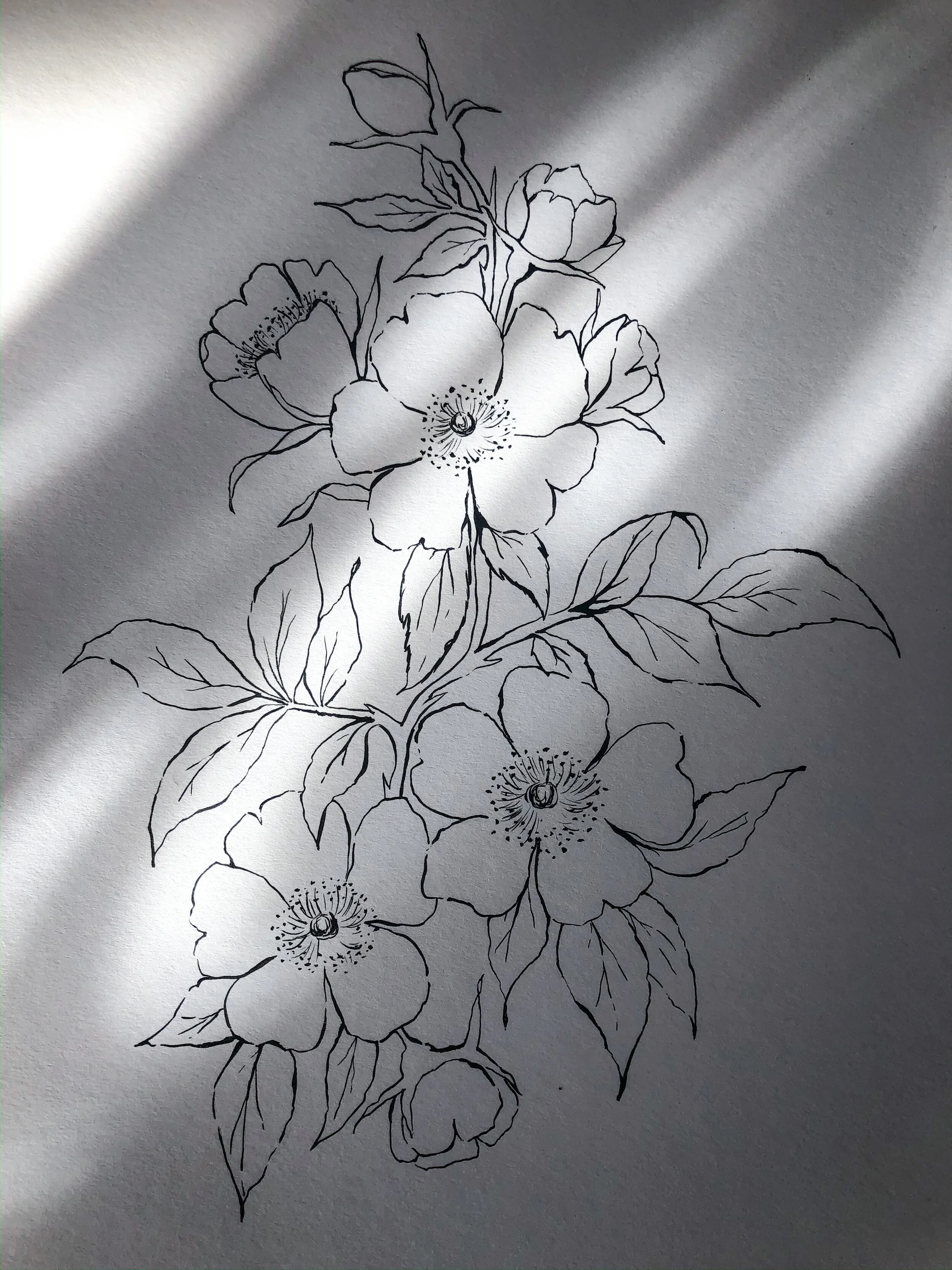 By Sarah Alexandra floral illustration