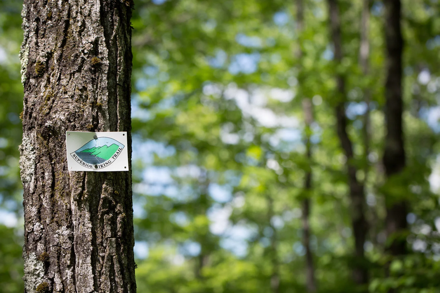 These handy little guys gave us peace of mind that we were indeed still on the trail.