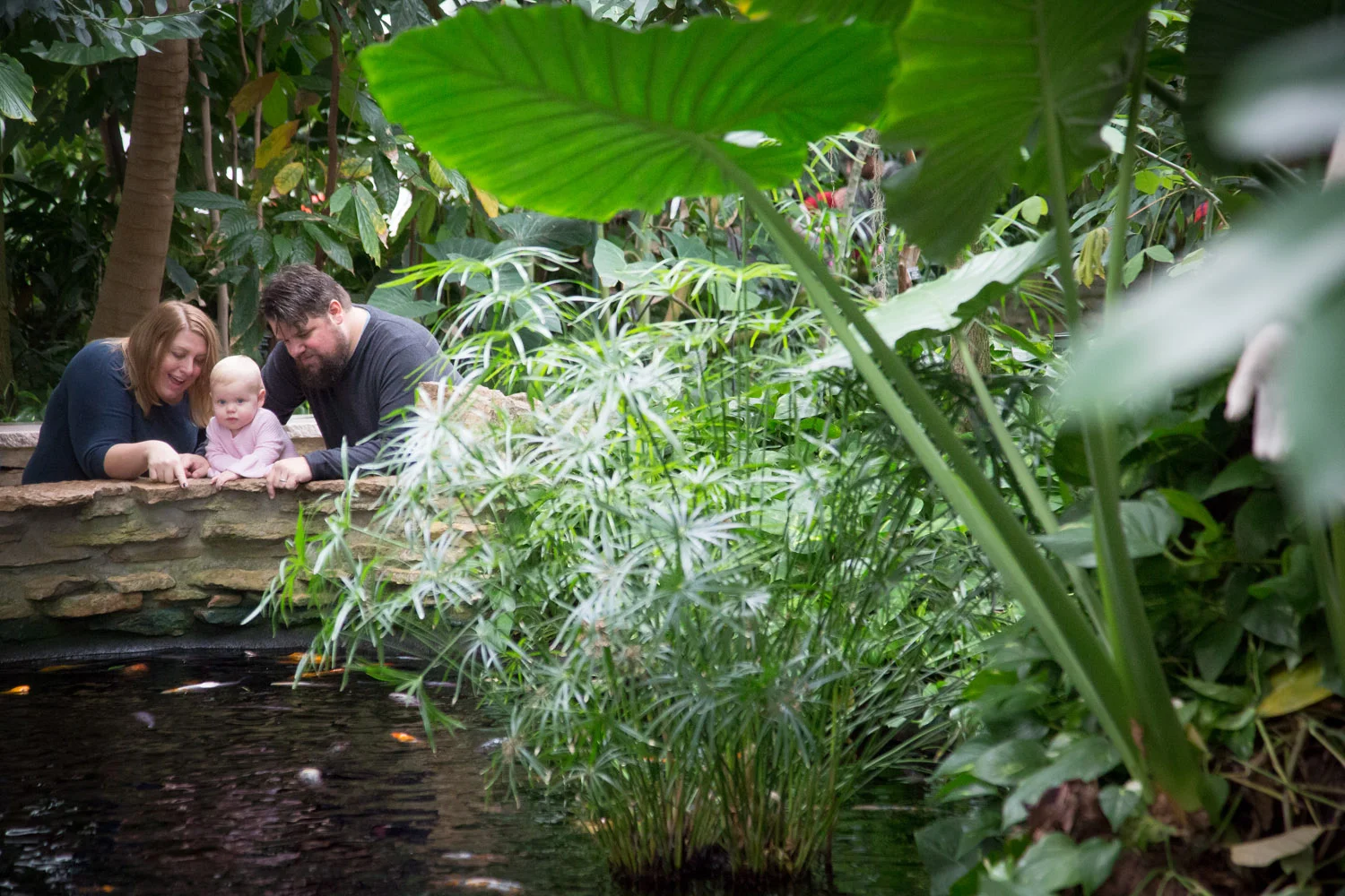 06-como-conservatory-family-photography-session-one-year-old-busy-happy-girl-mahonen-photography.jpg