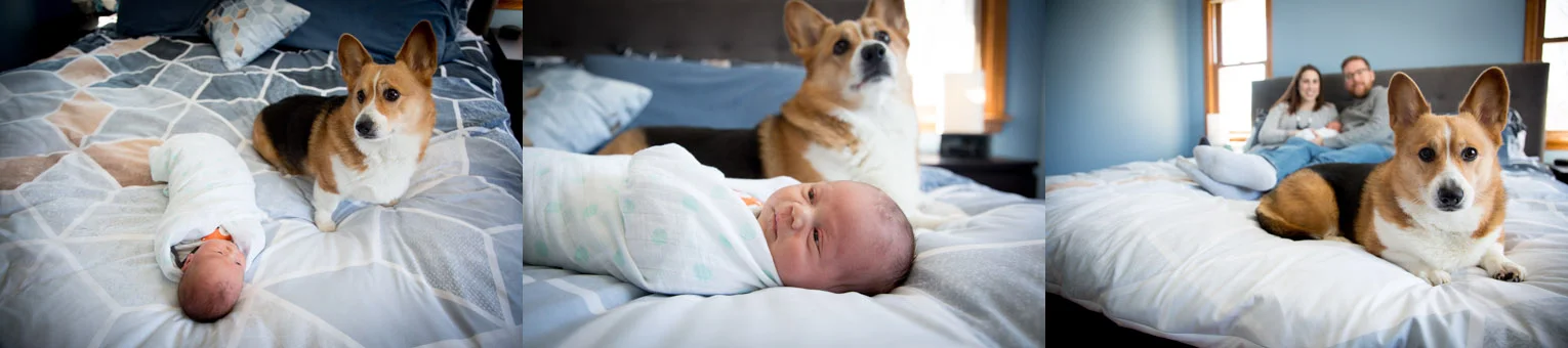 02-in-home-life-style-newborn-baby-boy-session-family-dog-original-baby-a-boy-and-his-dog-mahonen-photography.jpg