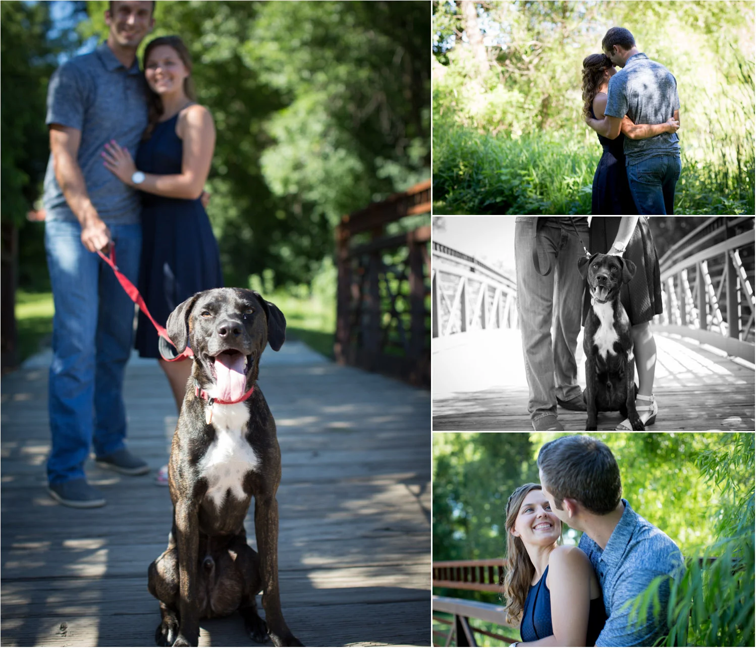 02-french-park-mn-minnesota-engagement-photographer-fur-baby-bridge-summer-mahonen-photography.jpg