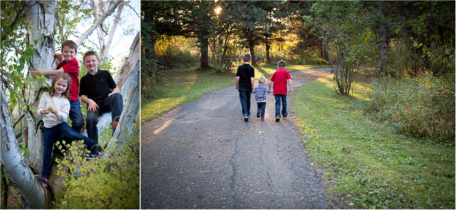01-mn-family-photographer-extended-fam-photo-session-siblings-tree-golden-hour-mahonen-photography.jpg