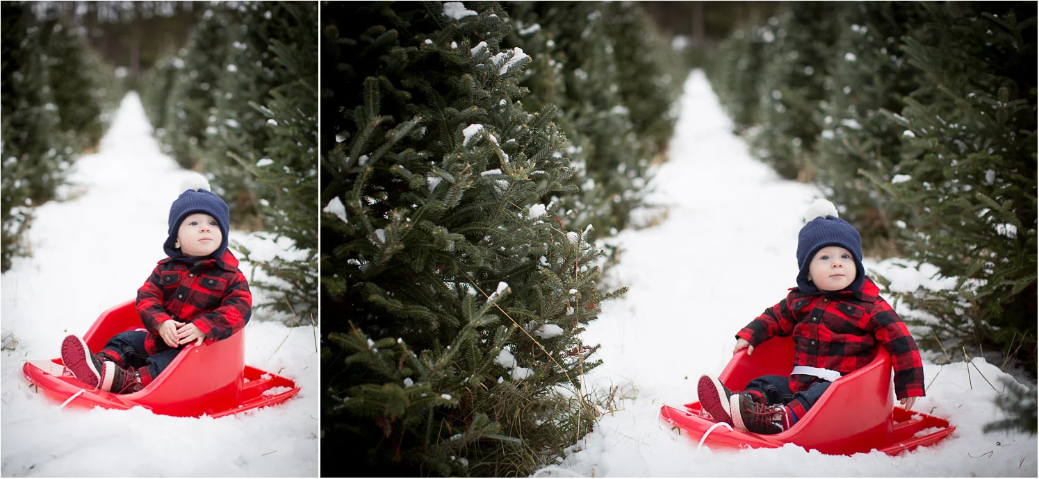 02-hansen-tree-farm-christmas-family-photographer-mn-plaid-baby-boy-mahonen-photography.jpg