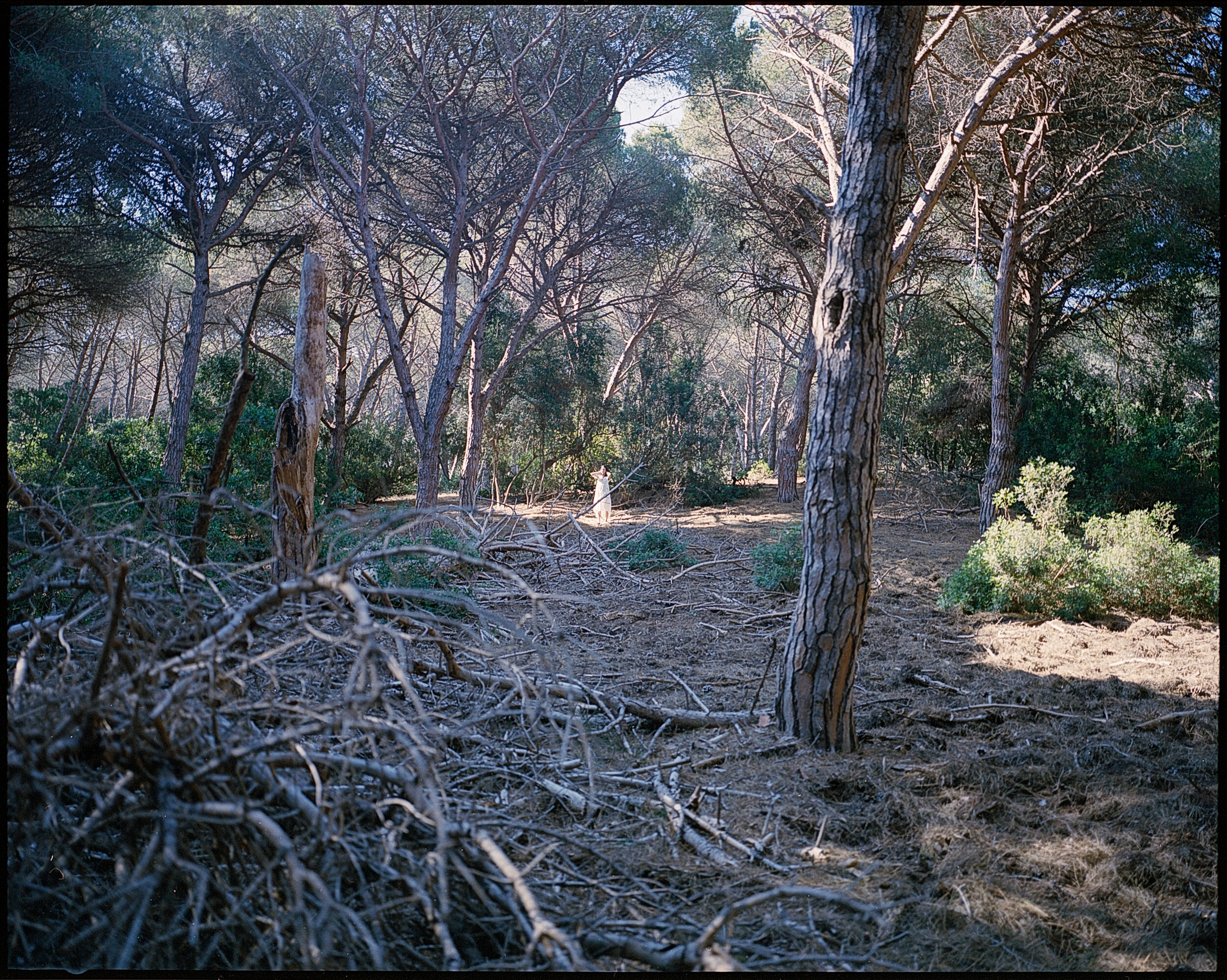Serafina in Toscana c 3.jpg