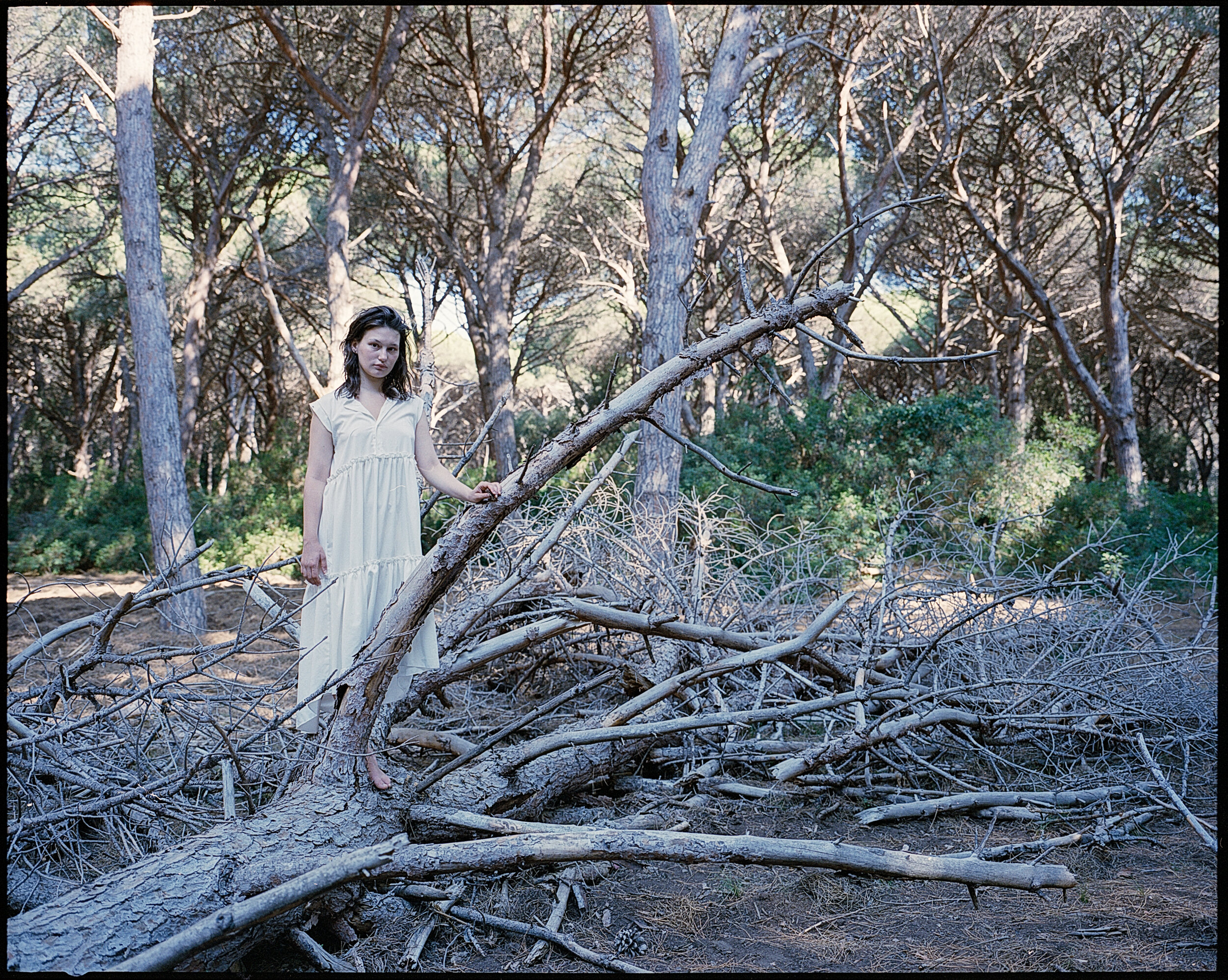 Serafina in Toscana c 8.jpg
