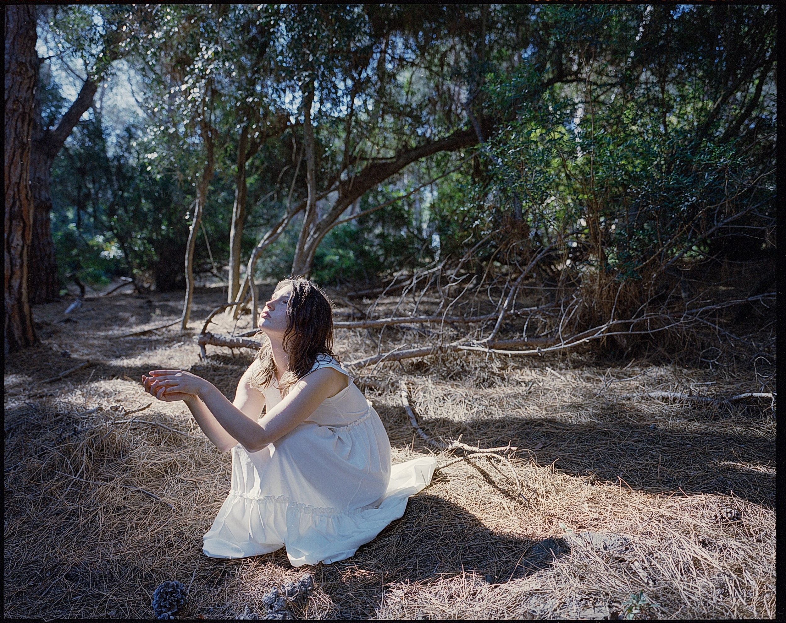Serafina in Toscana c 9.jpg