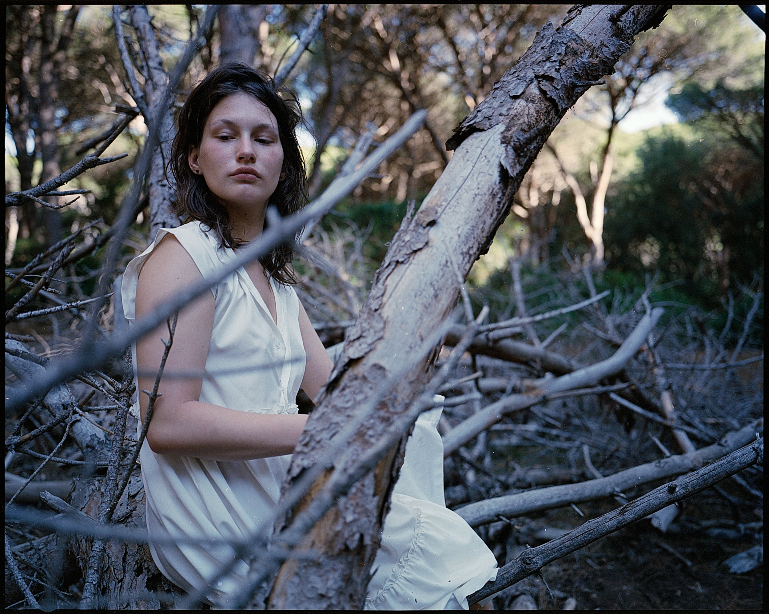 Serafina in Toscana c 6.jpg
