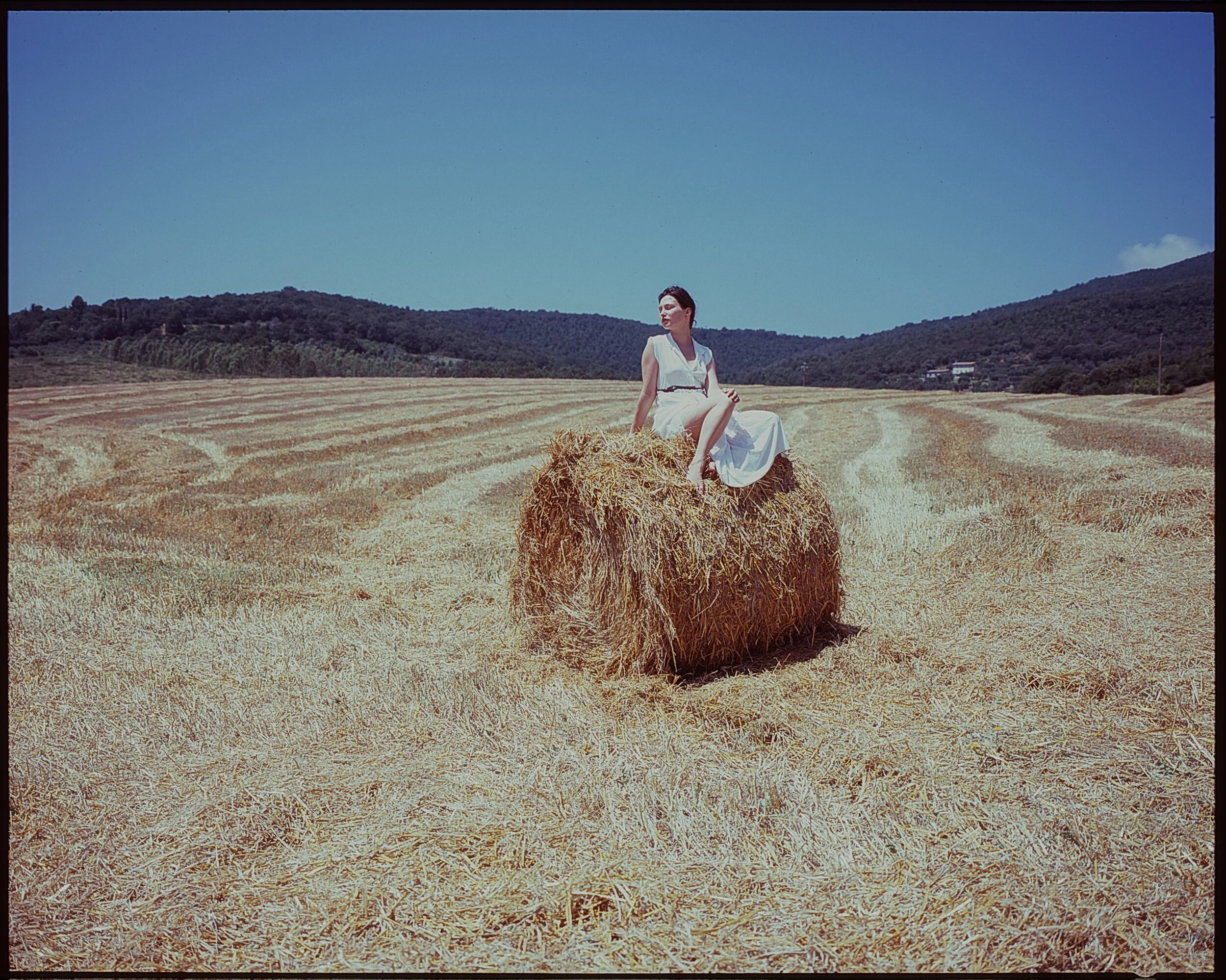 Serafina in Toscana c 4.jpg