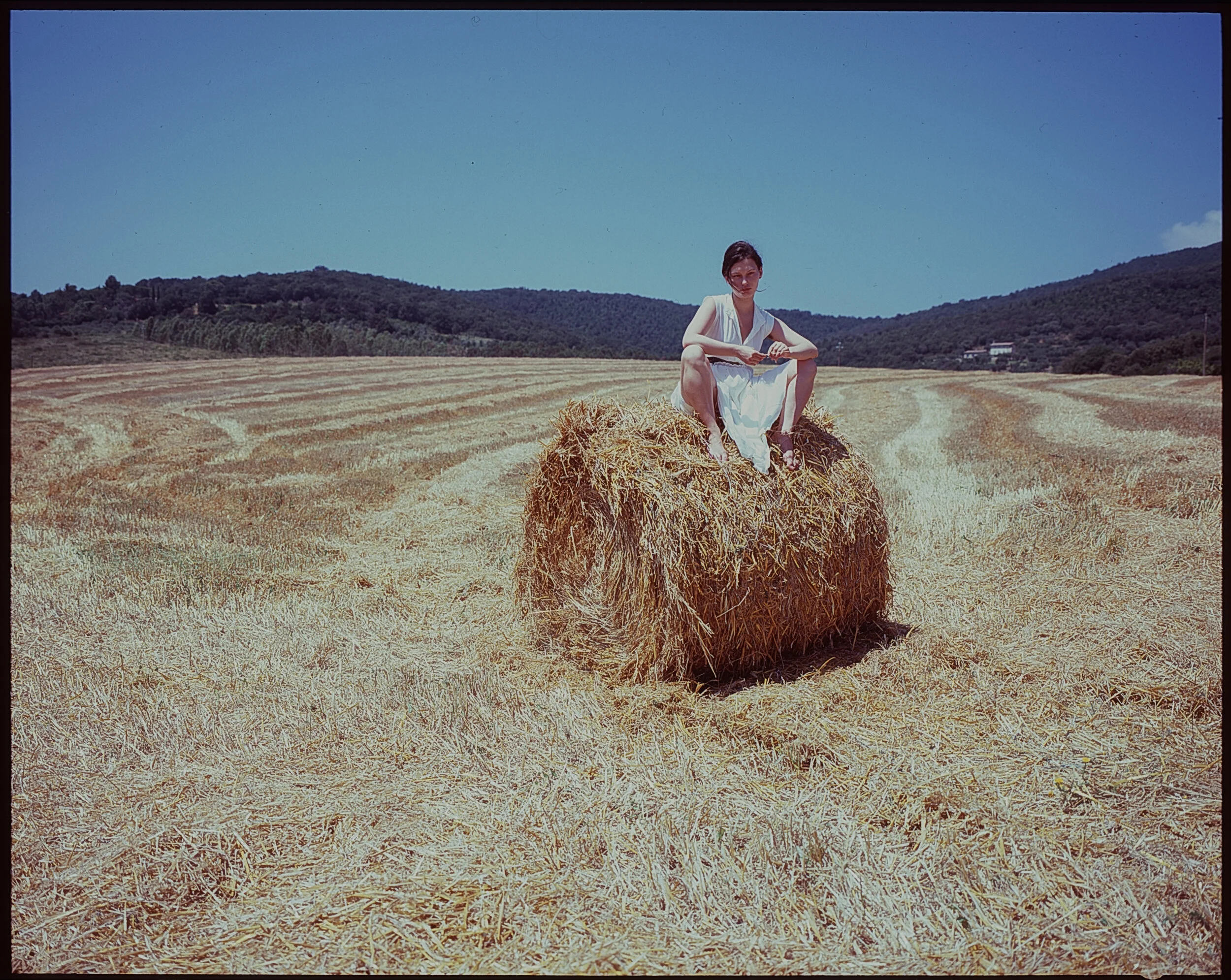 Serafina in Toscana c 2.jpg