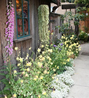 kim-weston-spring-garden.jpg