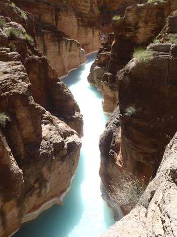 kim-weston-grand-canyon2.jpg