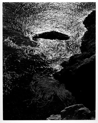 China Cove (PL 40 K4) | Edward Weston 1940